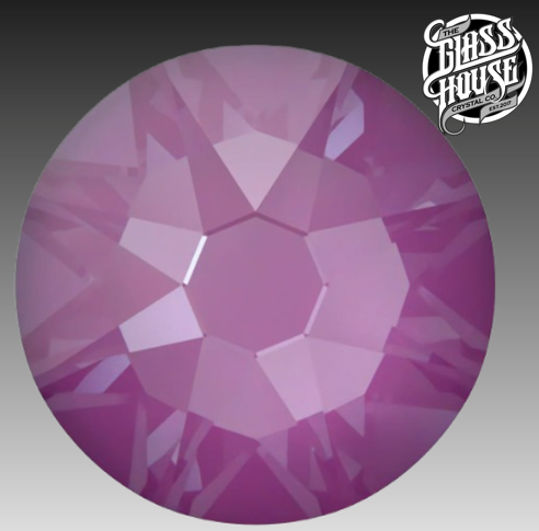 Orchid Ignite Unfoiled